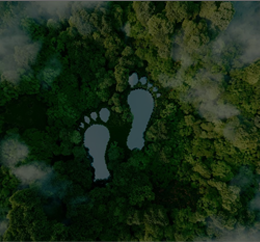 Carbon Footprint Report